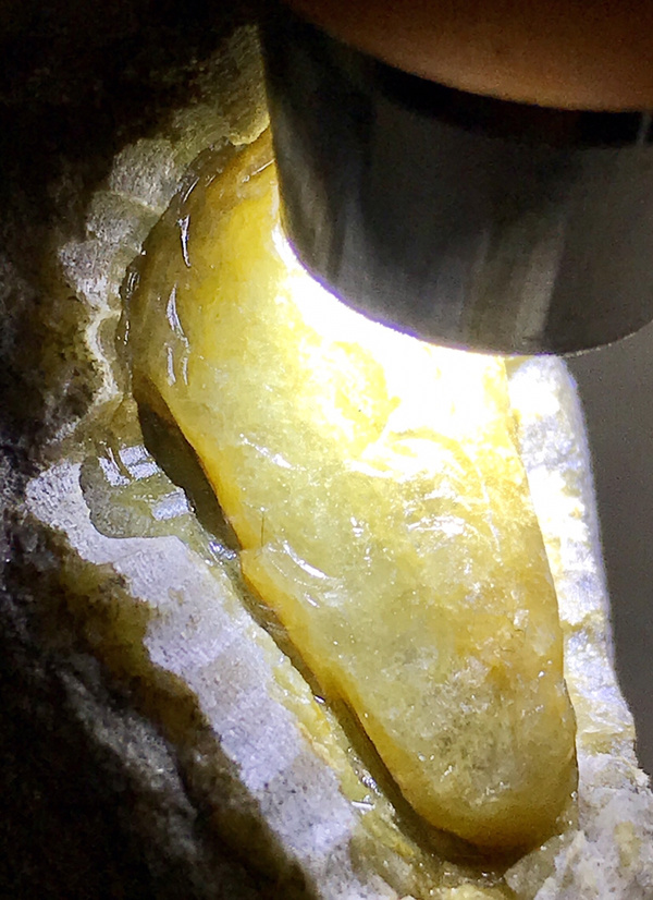 翠玉相约赌石莫西沙冰黄翡牌子料皮克表现好翻