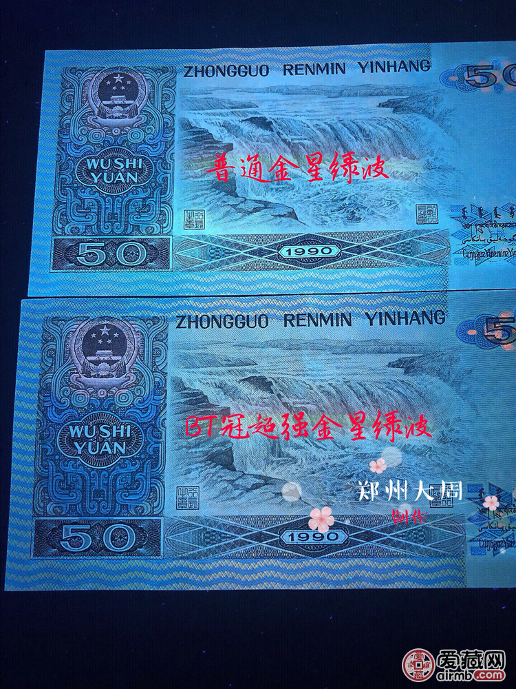 称"白头冠",是金星绿波中荧光效果最亮眼的,正面金星和背面碧波面积大