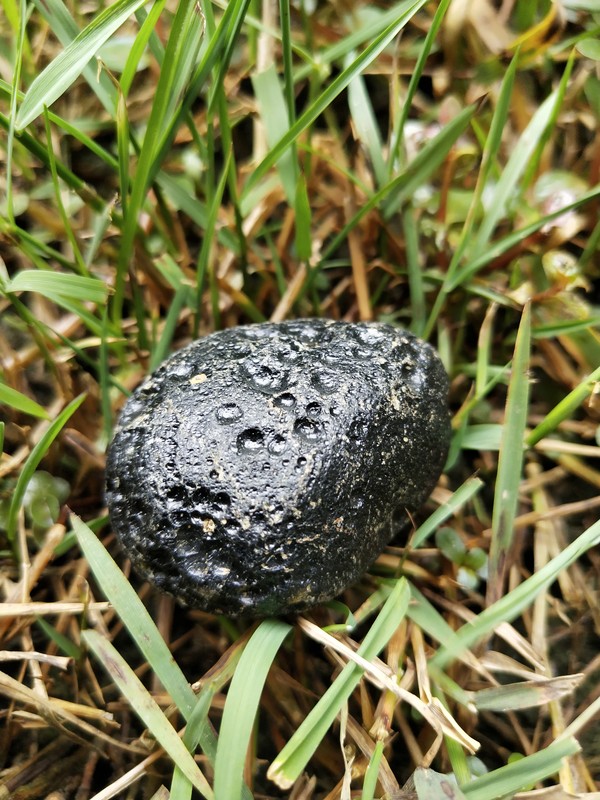 大漏玻璃陨石雷公墨原石3791克雕刻配带