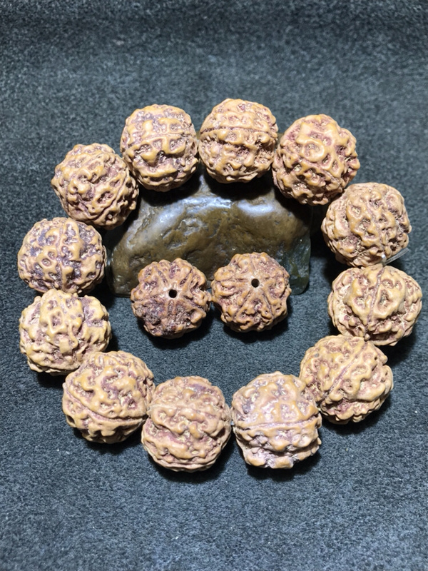 精美20高油籽爆肉双龙尼泊尔金刚菩提手串一条点击