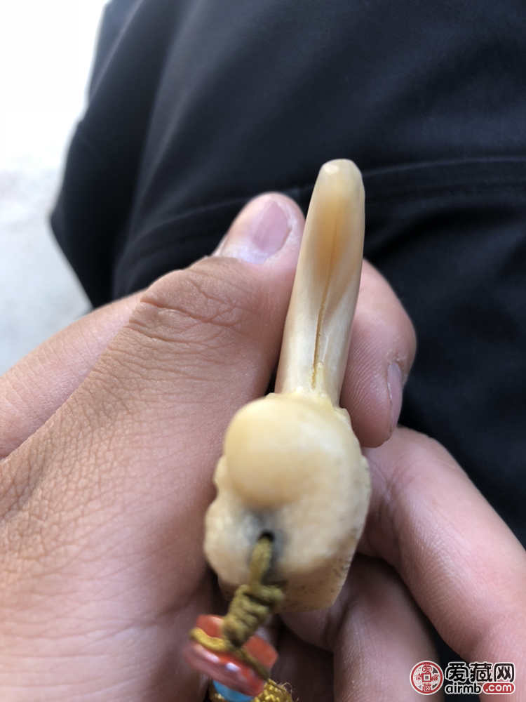 请专家鉴定下是不是真虎爪