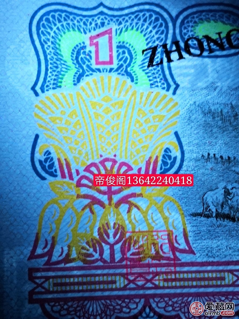 拖拉机(96冠)小桃红荧光版捆