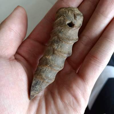 老羚羊角把件真假_图片_价格_评级-文玩杂项-爱藏网