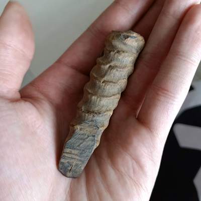 老羚羊角把件真假_图片_价格_评级-文玩杂项-爱藏网