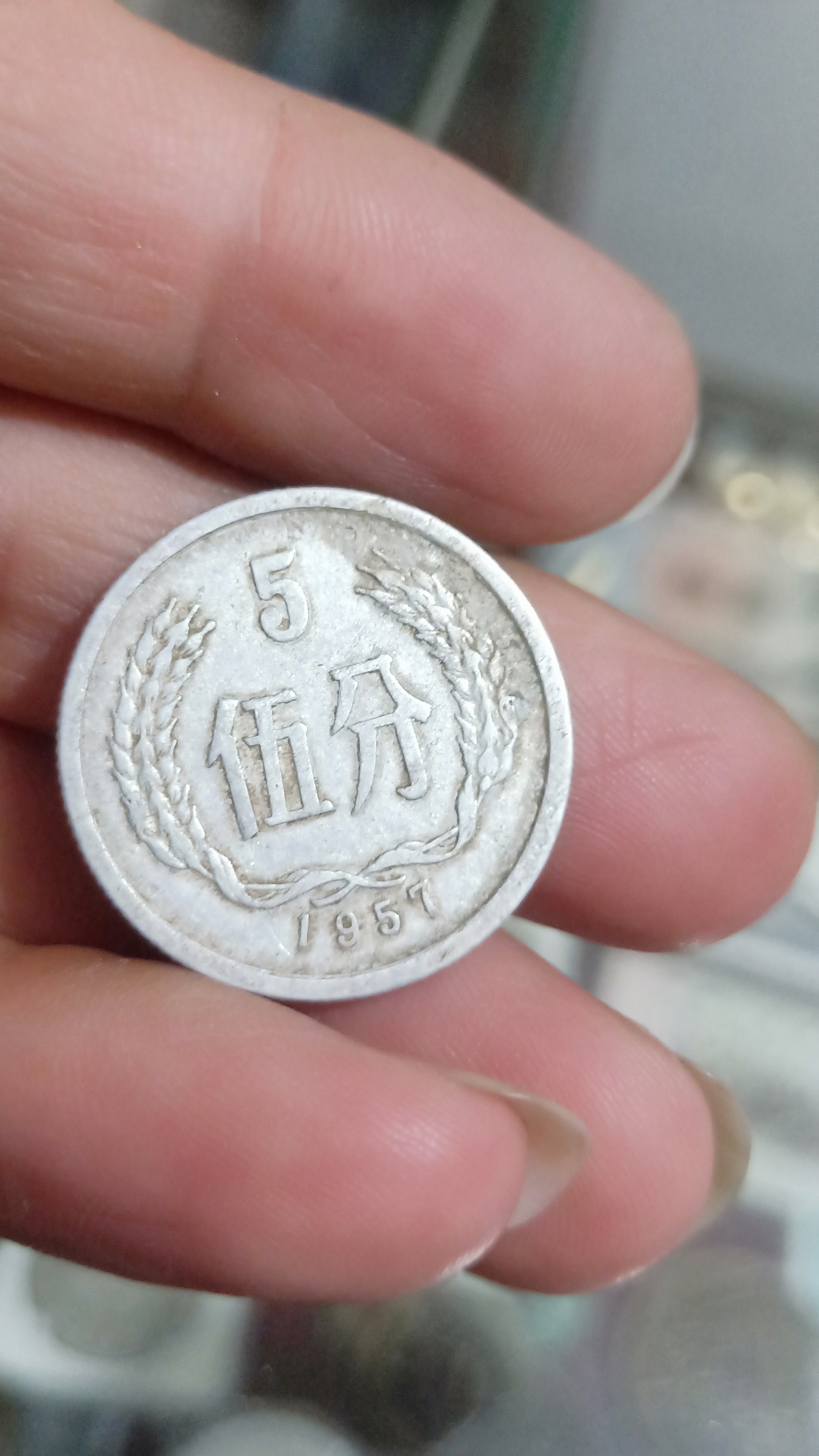 1955年5分硬币币王之一,稀少品种,收藏价值极大