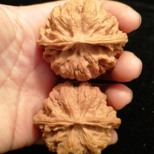 文玩核桃矮桩闷尖苹果圆狮子头边4545肚41高36