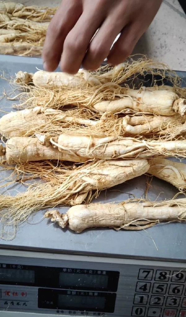 长白山人参干参,年新全须,生晒参,白参,真假_图片_价格_评级-茶酒滋补