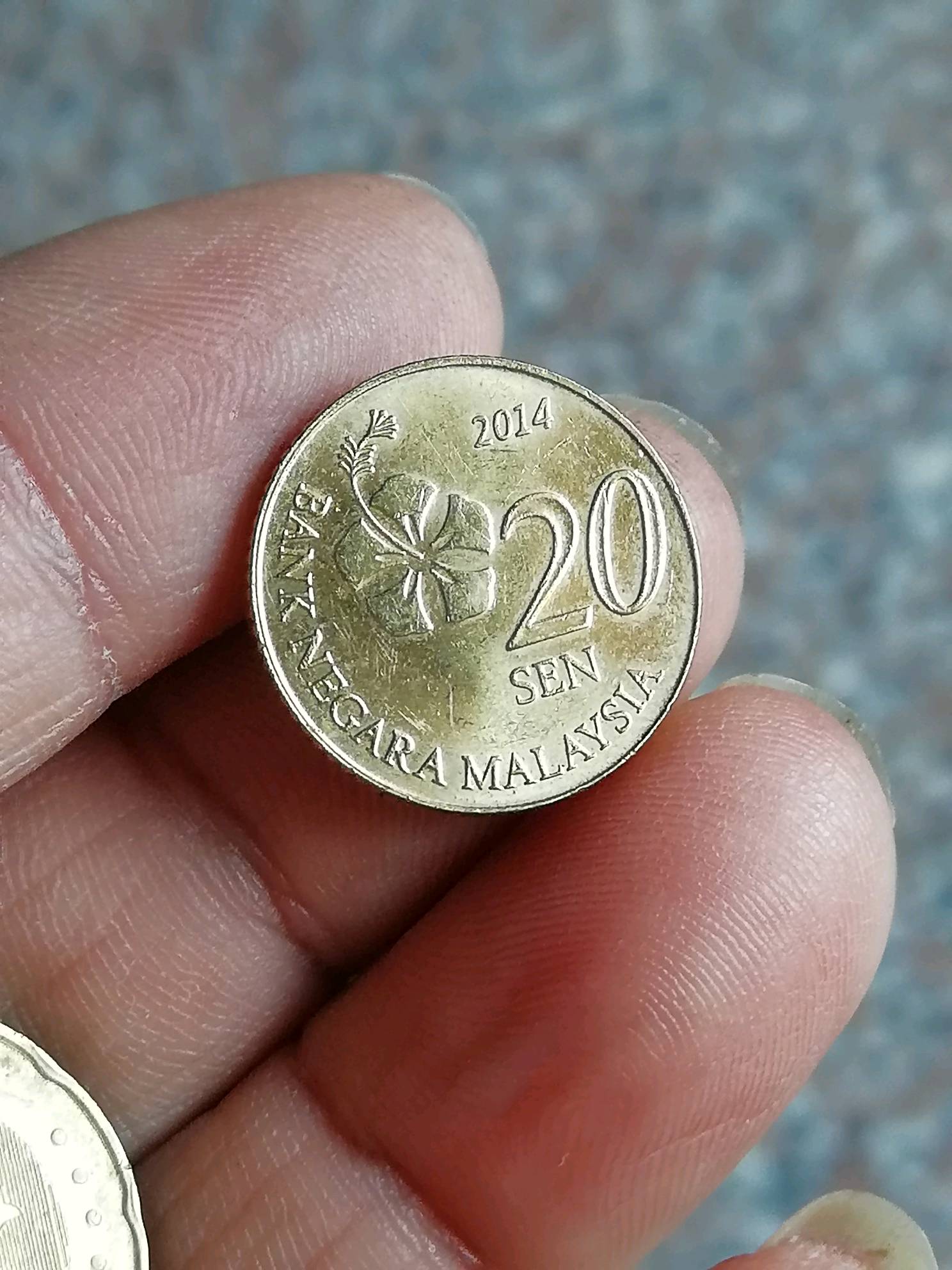 马来西亚币图片20元图片