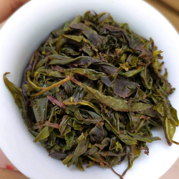 黄旦茶叶高山土山茶潮汕惠来八仙茶诏安精选富硒八仙王