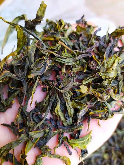 黄旦茶叶高山茶潮汕惠来土山茶八仙茶清香黄旦茶1袋1