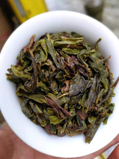 高山茶叶惠来土山茶潮汕高山工夫茶诏安富硒精选八仙王