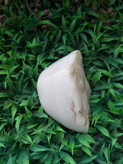 新疆罗布泊羊脂白重491.4克保真,假一赔十!