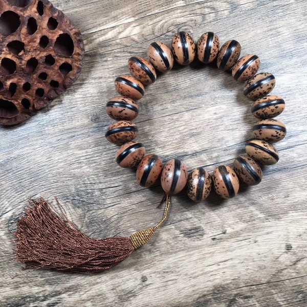 木鱼果菩提子手持果实为稀有树木种子状似木鱼故而得名