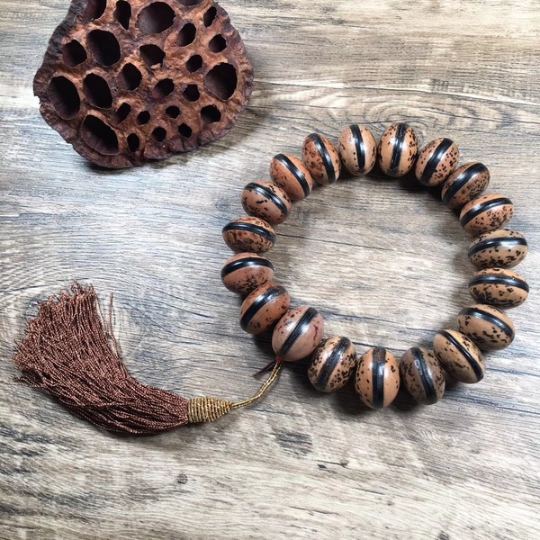 木鱼果菩提子手持果实为稀有树木种子状似木鱼故而得名