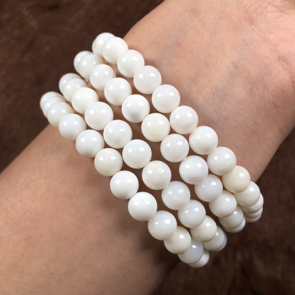 砗磲海里面的贝壳0.6108粒砗磲是