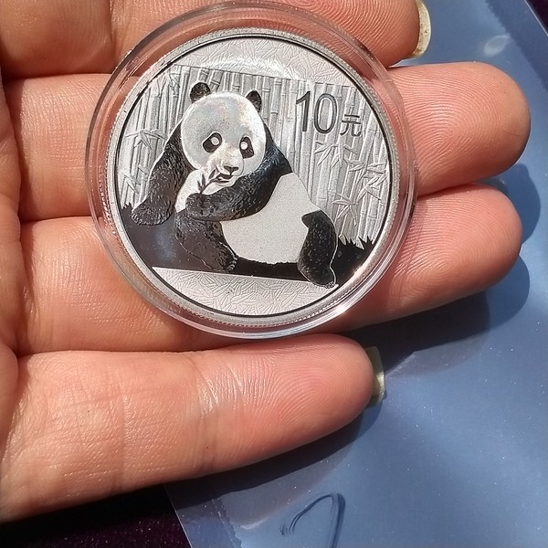 2015年熊猫银币30克有雾斑