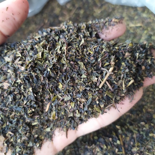 茶碎沫八仙茶叶惠来土山茶潮汕工夫茶大壶茶茶碎5斤