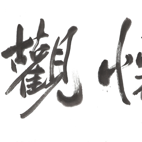 董浩书法澄怀观道