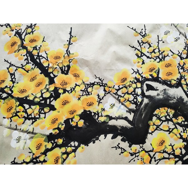 田成喜梅花图真迹编号古黄梅横1尺寸