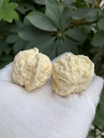 文玩核桃,特惠:
材料:象牙果
尺寸:4.5*