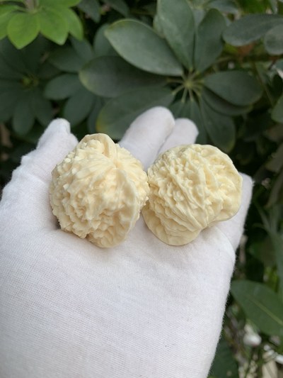 文玩核桃,特惠:
材料:象牙果
尺寸:4.5*