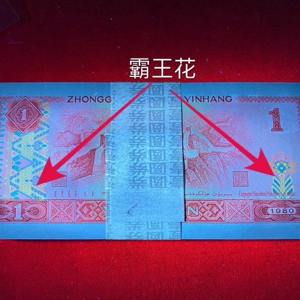 霸王花霸王花801最新的精品冠军分霸