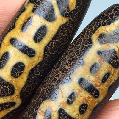 藏传*龟甲长寿风化老天珠一对,尺寸:39.2×14