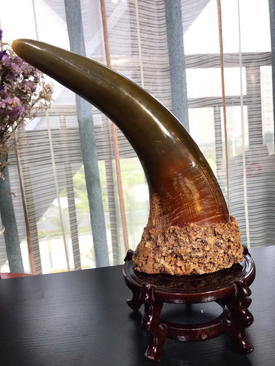 披毛犀角原住民家中回收的罕见至极的货带回来