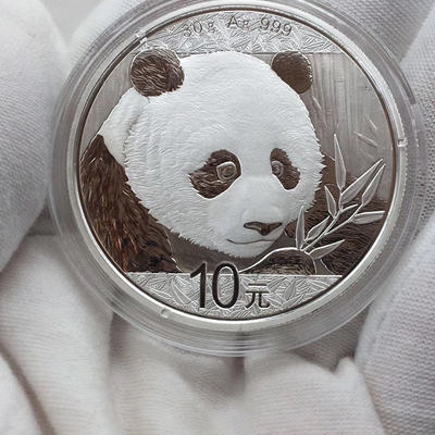 2018年大熊猫30g银币纪念币999纯银一枚
