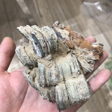 清钱山骨子特别好尺寸大不易散可开可摆大