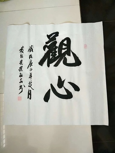爱新觉罗毓安老师四尺斗方书法《观心》手写真迹书法6