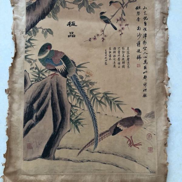 古玩字画收藏康熙四十二年南沙蒋廷锡花鸟画三希堂收