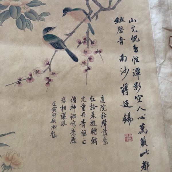 古玩字画收藏康熙四十二年南沙蒋廷锡花鸟画三希堂收