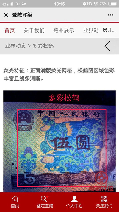 805tf强荧光多彩松鹤,荧光超美,爱藏严评保价金