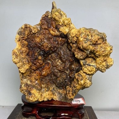 北沉香琥珀木,1.9斤,高251910天然摆件