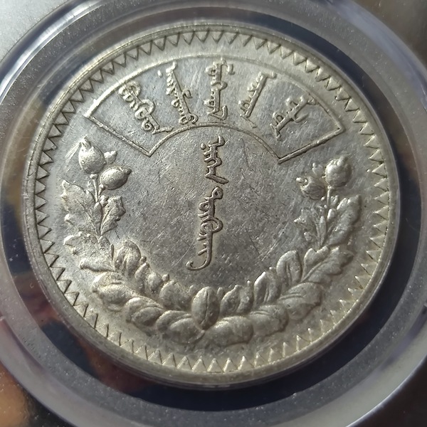 蒙古唐吉银币热门上涨品种1925年发行的蒙古唐