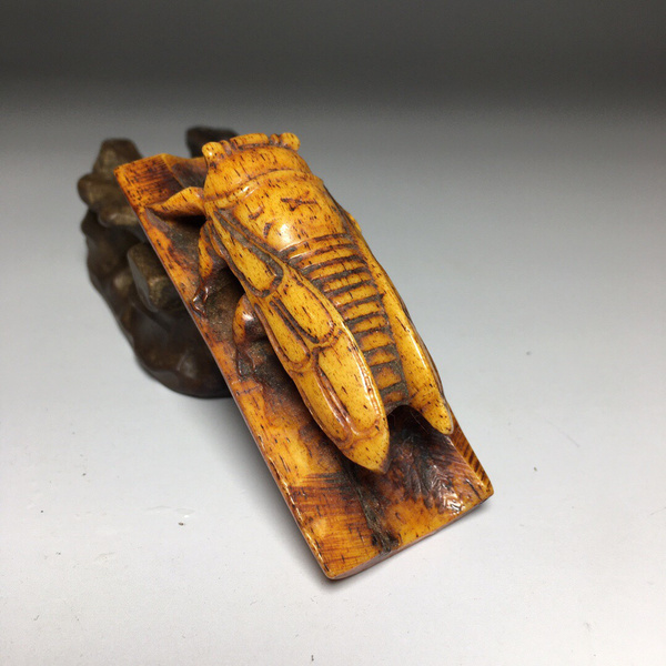 牛骨吊坠宝贝重量43尺寸长约70