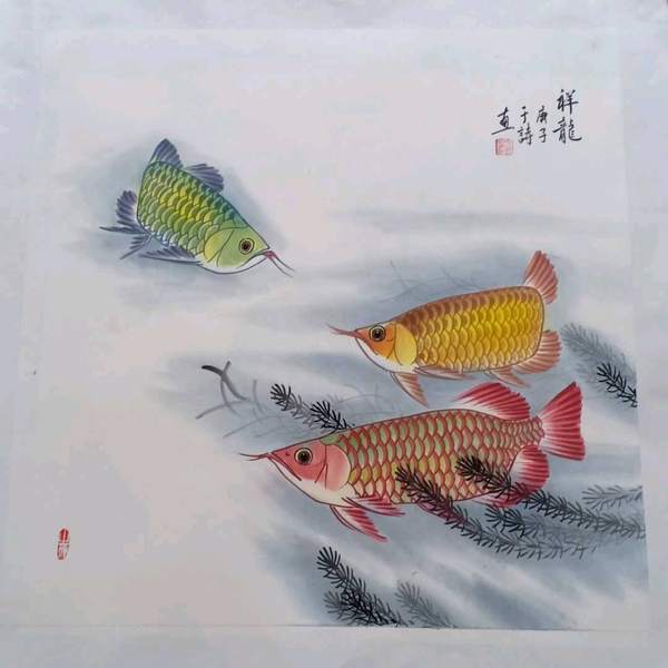 于诗老师龙鱼斗方7070