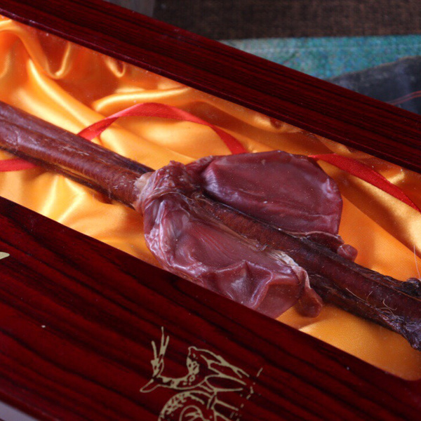 万年保真梅花鹿鹿鞭福利特价处理干净