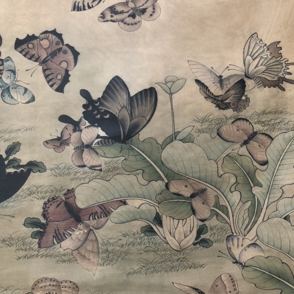 百蝶图,三尺中堂作品材质宣纸裱好尺寸1