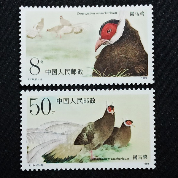 1989年134褐马鸡邮票一套两枚,实物拍摄如图