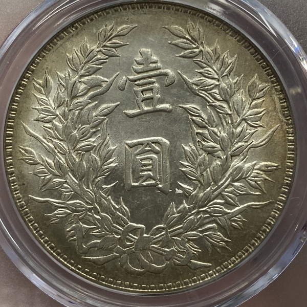 公博评级63分袁大头竹节花实物拍摄如图所示