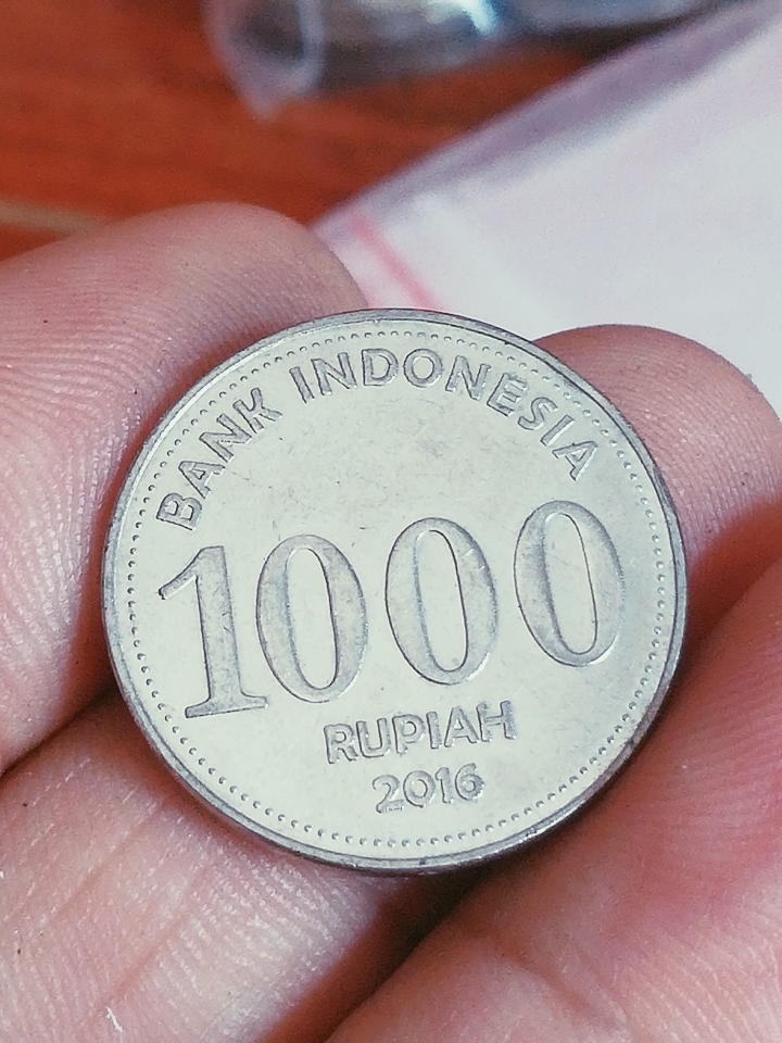 006629,印度尼西亚高值1000卢比真假