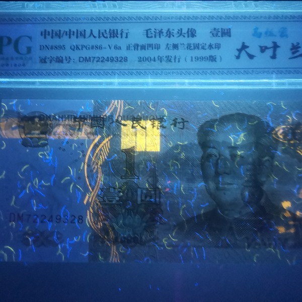 991大叶兰高密丝一张大叶兰高端精品非常稀少市