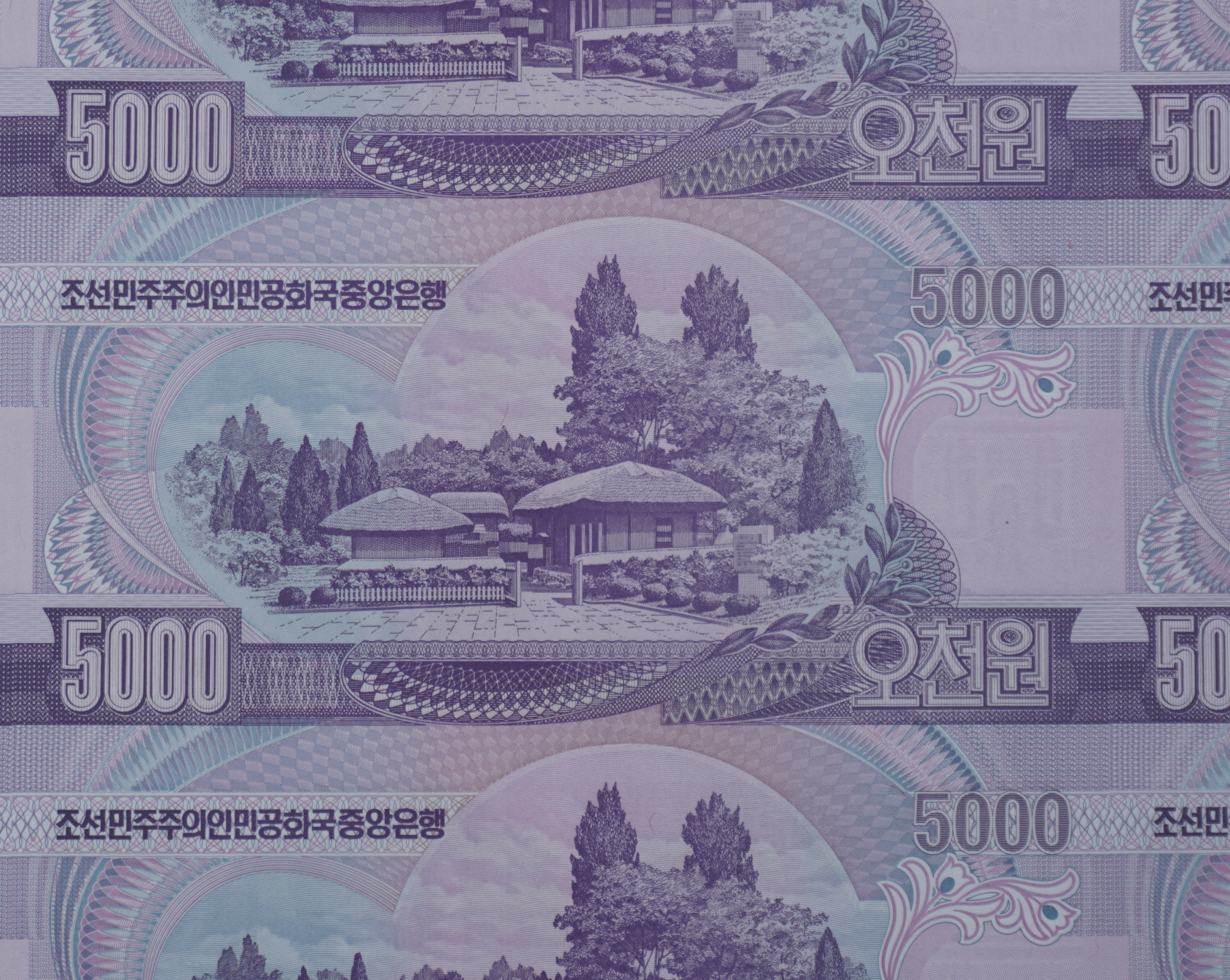 朝鲜中央银行5000元庆祝抗美援朝胜利六十周年整版