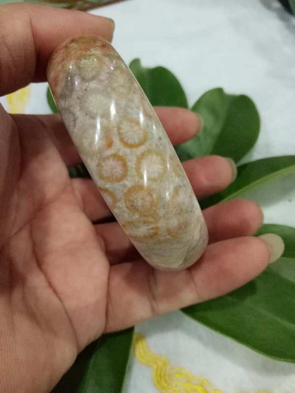 珊瑚化石手镯
