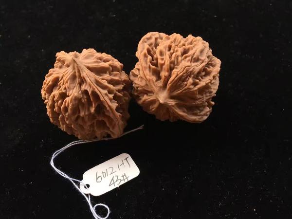6012ht野生盘龙纹文玩核桃呲牙呲