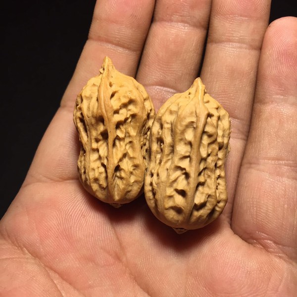 野生异形花生核桃真假_图片_价格_评级-文玩杂项-爱藏网