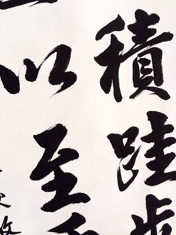 精品!不积跬步 无以至千里【拍品材质】已装裱卷