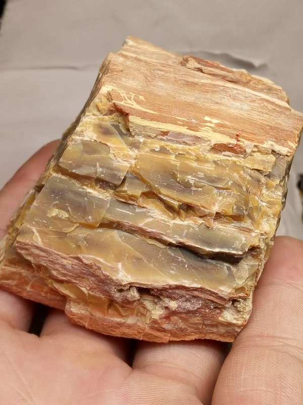 天然树化玉原石有裂人无横材不富可以做一小摆